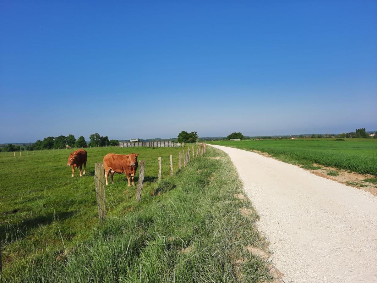 O Bout D'la Motte Homestay
