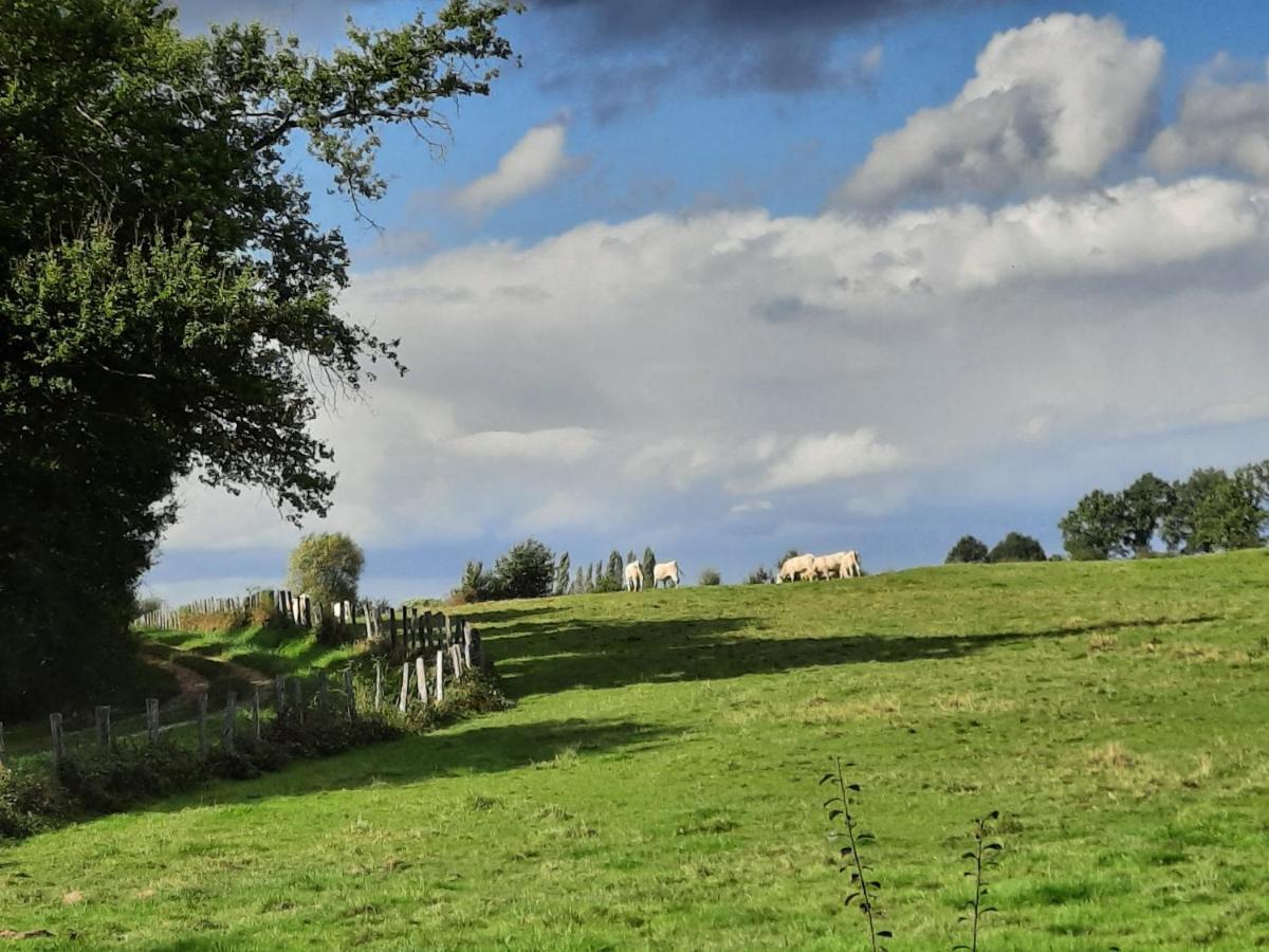 O Bout D'la Motte Homestay Voillecomte