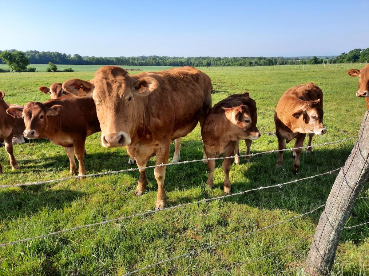 Séjour chez l'habitant ô Bout D'la Motte Voillecomte