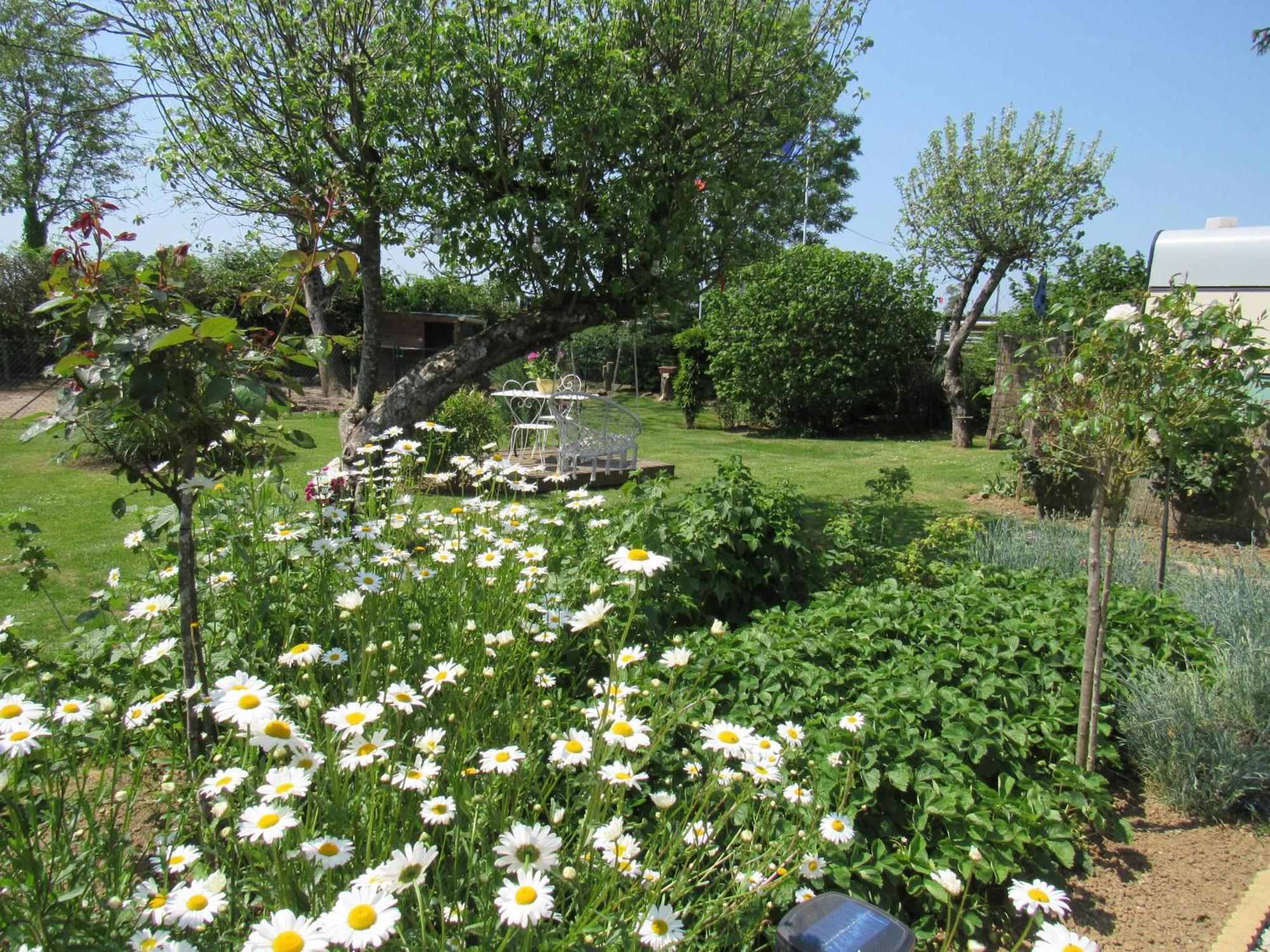 O Bout D'la Motte Homestay *