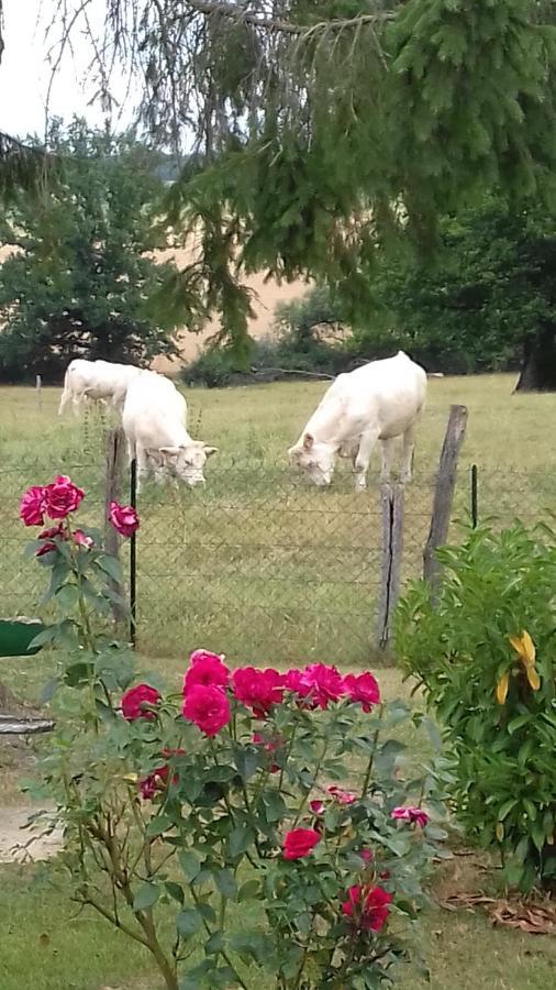 Séjour chez l'habitant ô Bout D'la Motte Voillecomte
