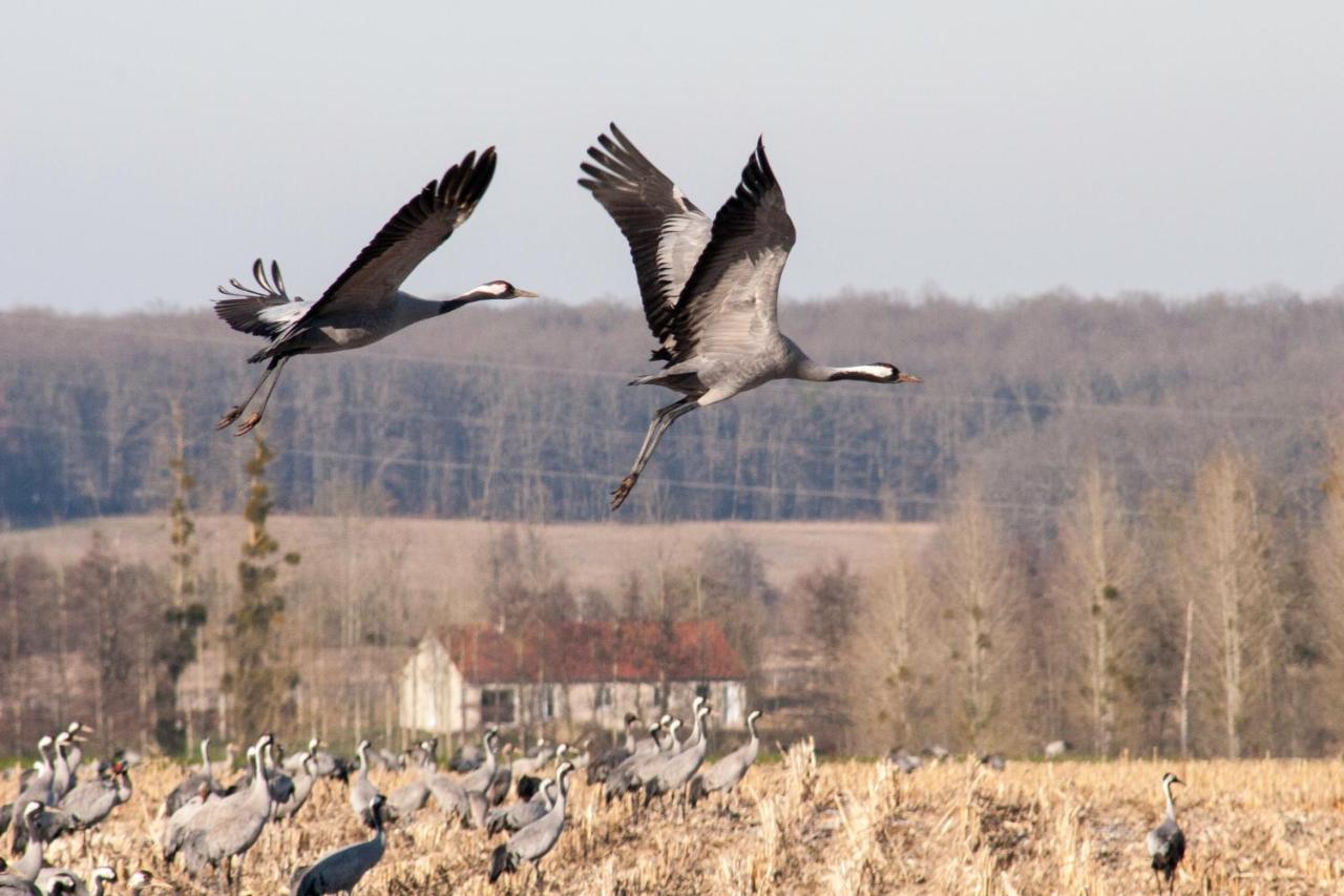 Séjour chez l'habitant ô Bout D'la Motte Voillecomte