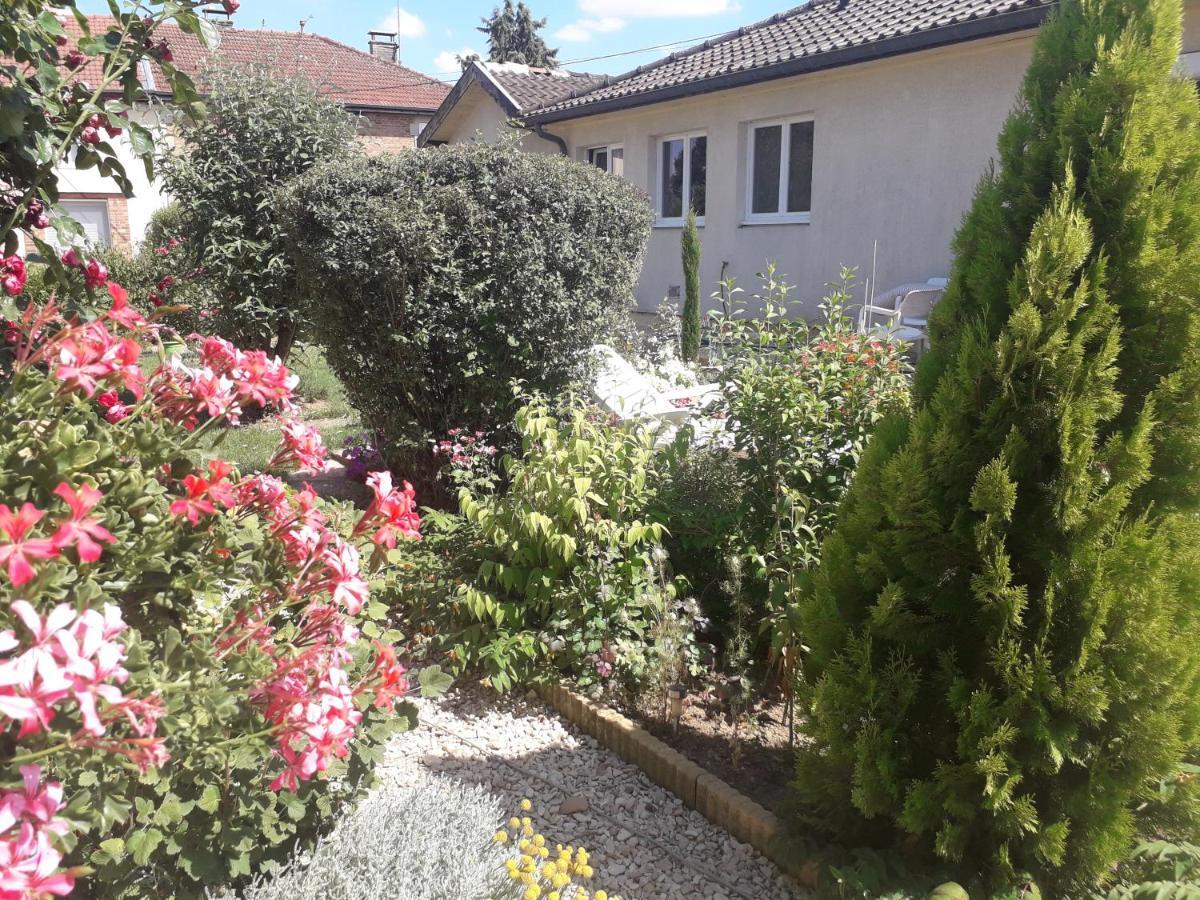 O Bout D'la Motte * Voillecomte