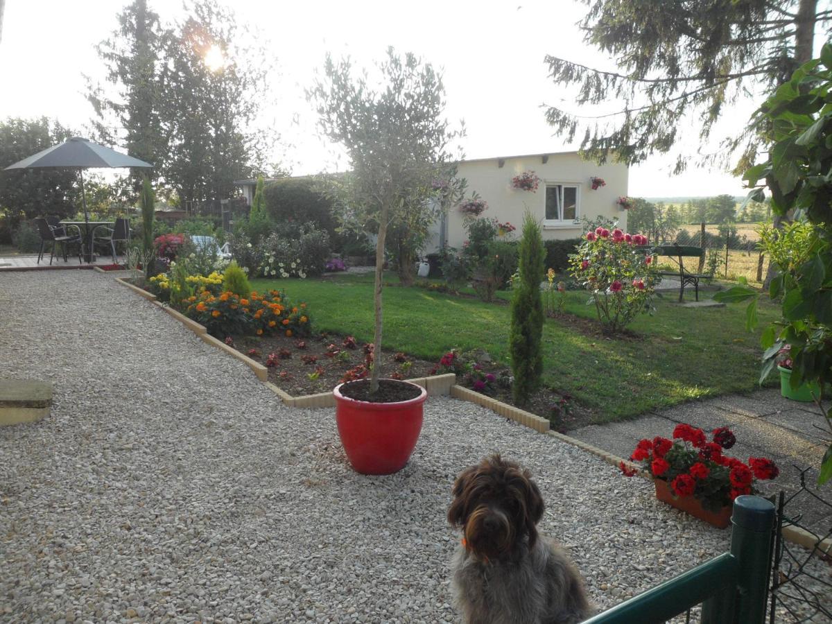 O Bout D'la Motte Homestay Voillecomte